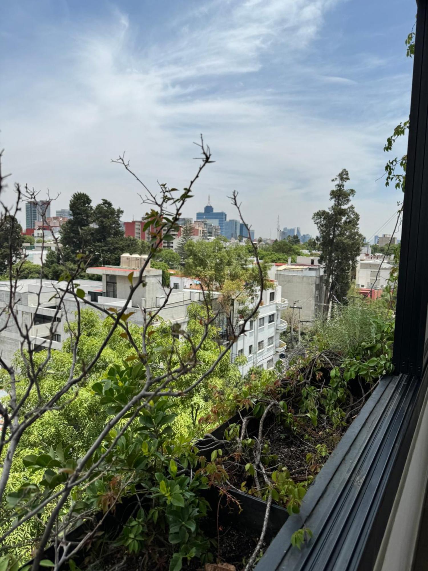 Calzolli Penthouse Casa De Huespedes Y Coliving Quarto em Acomodações Particulares Cidade do México